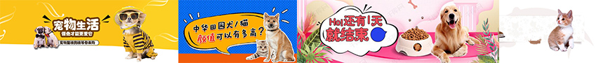 宠物百科网